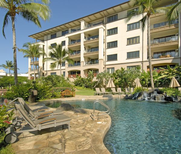 The image shows a tropical resort with a pool, surrounded by palm trees and lounge chairs in a sunny setting. It's inviting and relaxing.